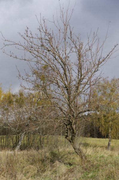 Szlak Dookoła Jeziora Siecino