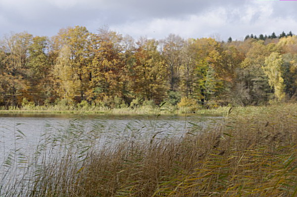 Szlak Dookoła Jeziora Siecino