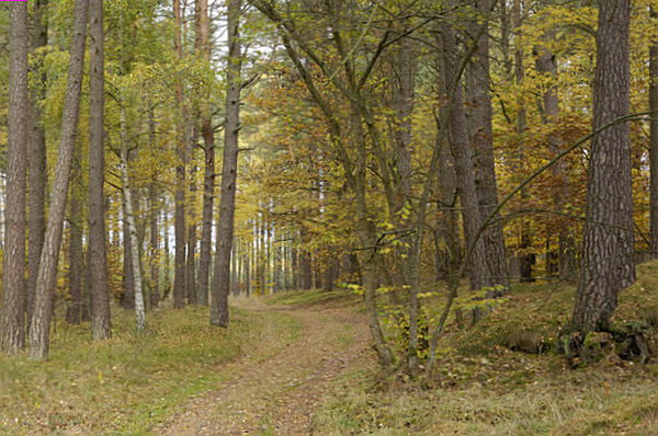 Szlak Dookoła Jeziora Siecino