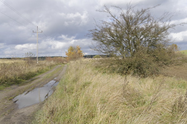 Szlak Dookoła Jeziora Siecino