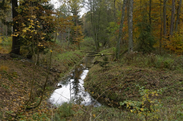 Szlak Dookoła Jeziora Siecino