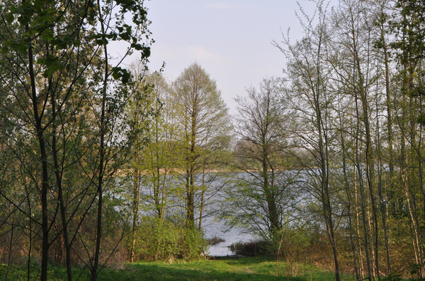 
Jezioro Zamkowe