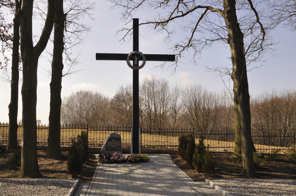 Cmentarz wojenny ofiar terroru hitlerowskiego w Tryszczynie